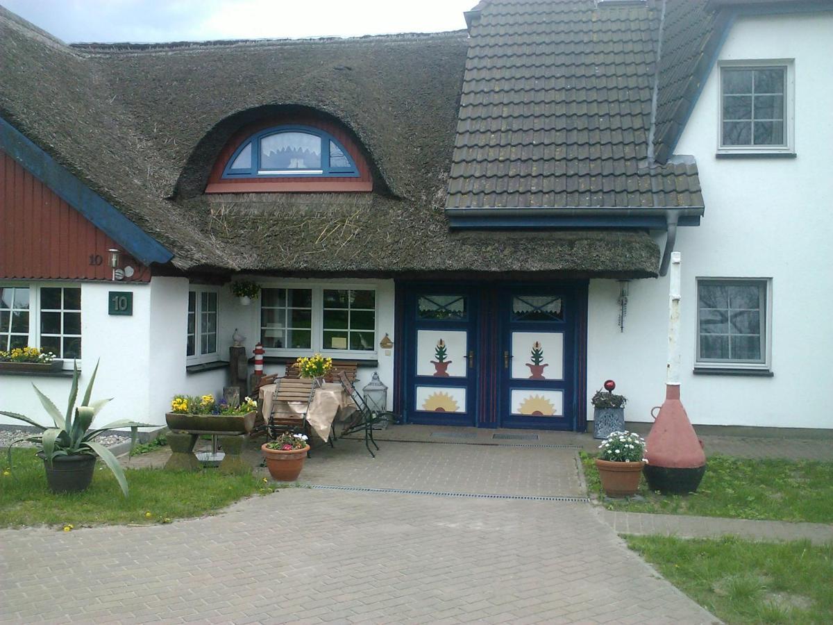 Pension Martens - Gaubenwohnung Wieck Kültér fotó